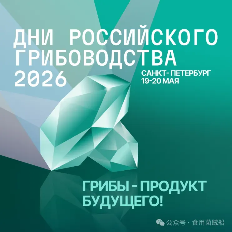 31.webp