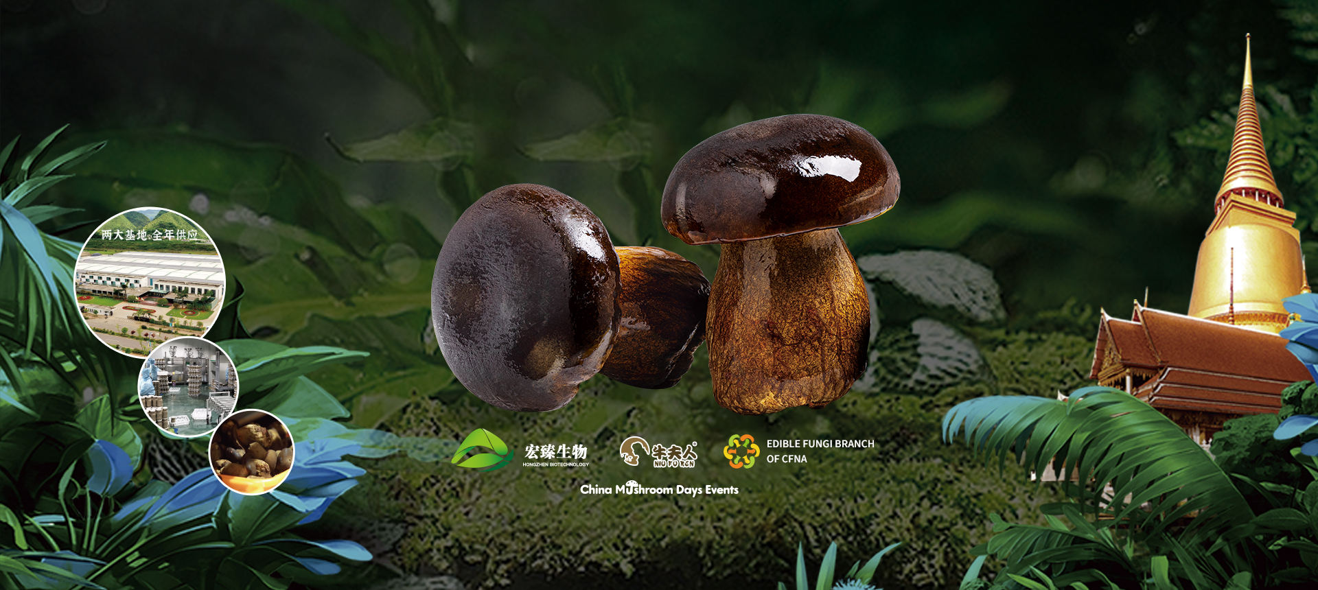 2025国际牛肝菌产业创新大会-02.jpg